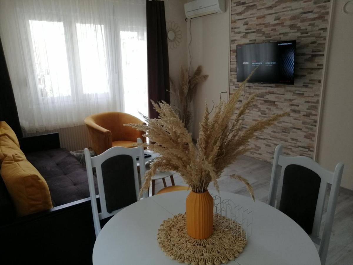 Apartament Apartman Zi-Zo Vrsac Zewnętrze zdjęcie