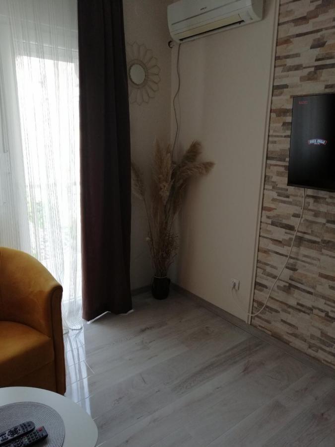 Apartament Apartman Zi-Zo Vrsac Zewnętrze zdjęcie